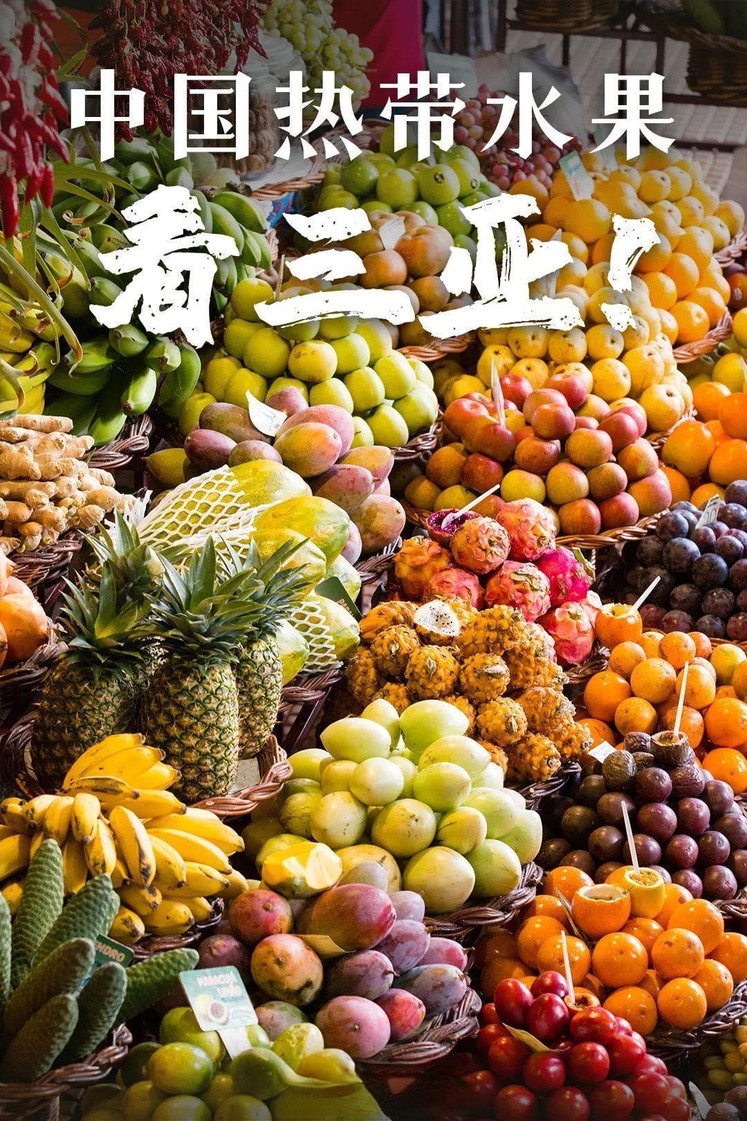 一年不间断的水果狂欢，这个大省如何甜蜜了中国人的四季？