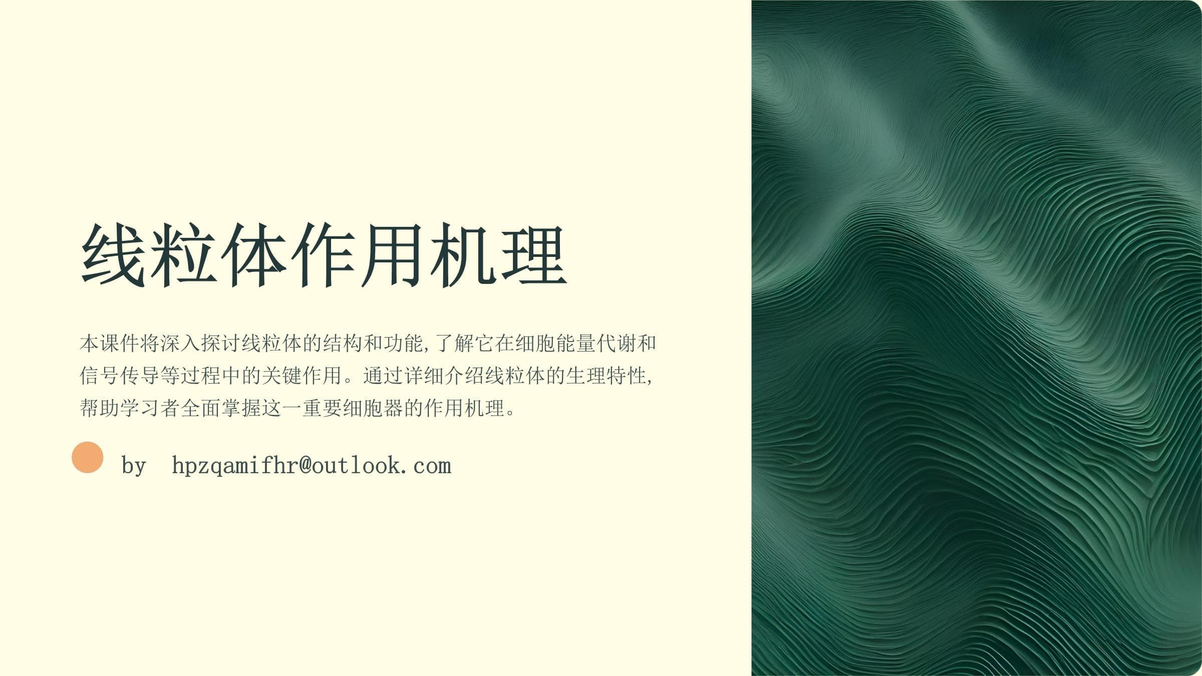 线粒体作用机理详解：从结构到功能的全面解析