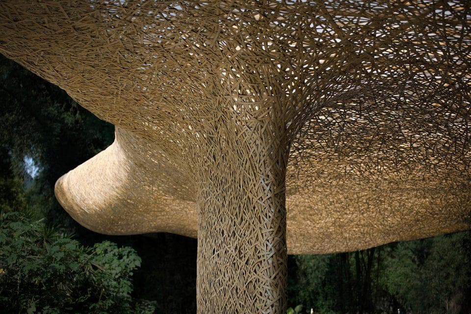 构建人与自然的和谐：竹编建筑的可持续之路