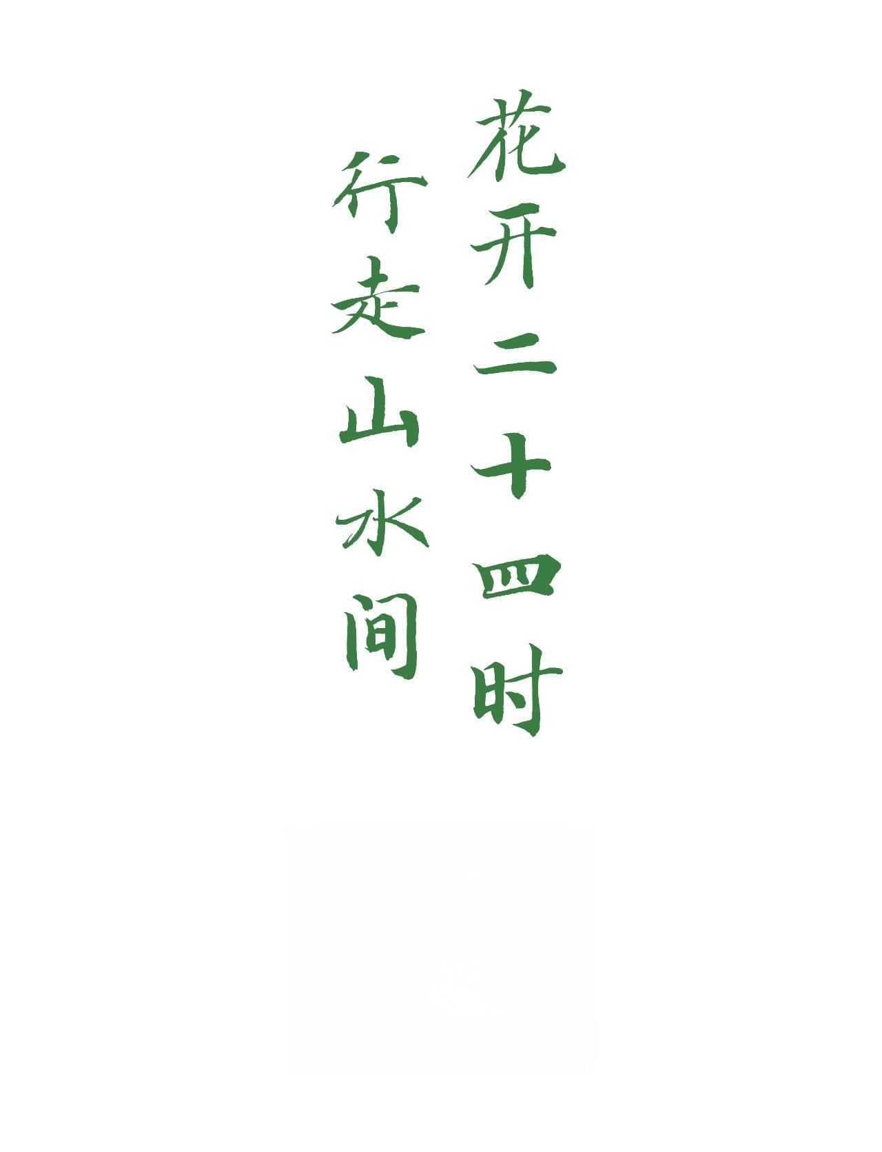 2024二十四节气 一时一卉 | 夏至:去长安，寻古典月季