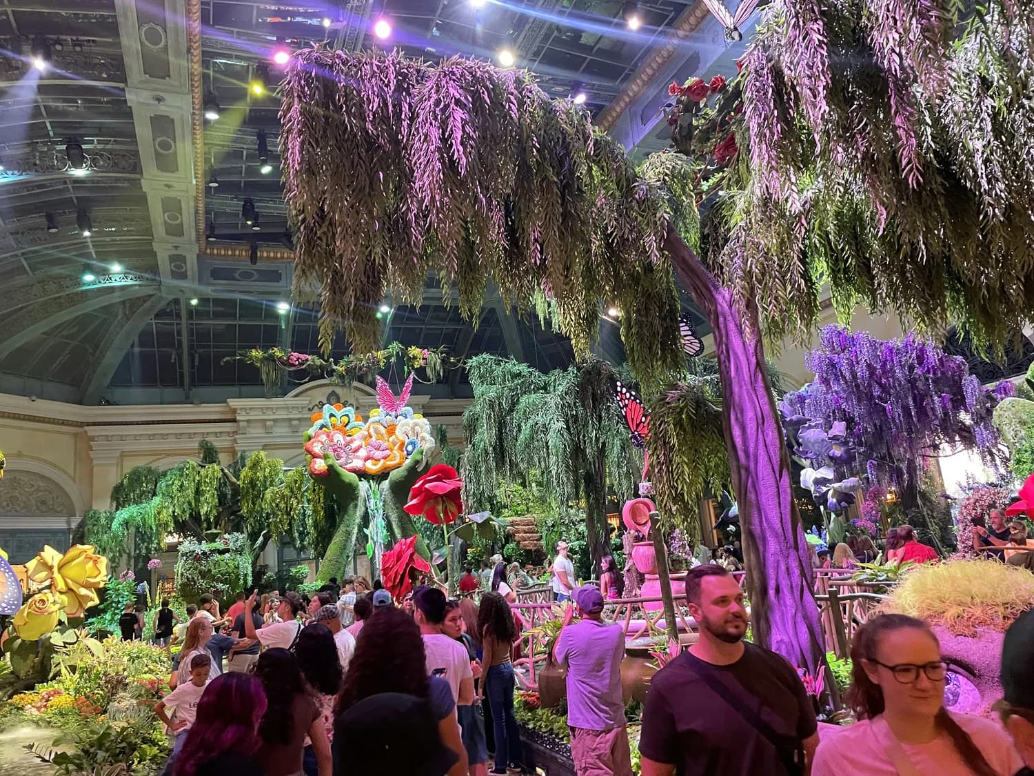 春节自驾游打卡上海植物园，拍大片攻略！