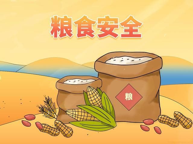 如何确保食品质量与安全