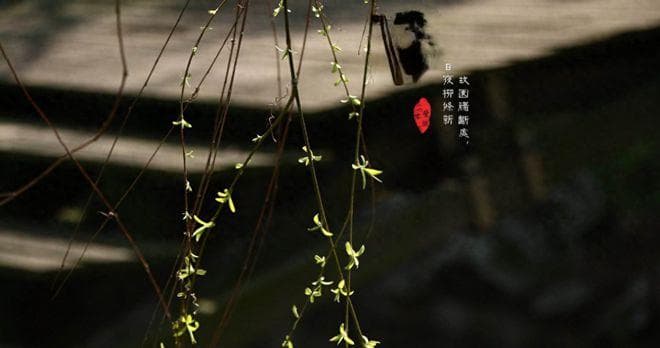 今年清明哪天扫墓最好，为何有人说今年扫墓要推迟?2个方面原因