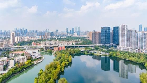 锦江一周 | 围绕企业发展问需问计！锦江区街道、部门党政“一把手”这周在忙啥？