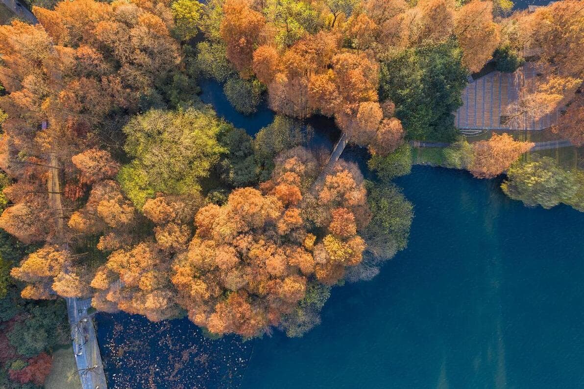 湖州旅游攻略：江南水乡的诗意栖居，解锁自然与人文的双重魅力