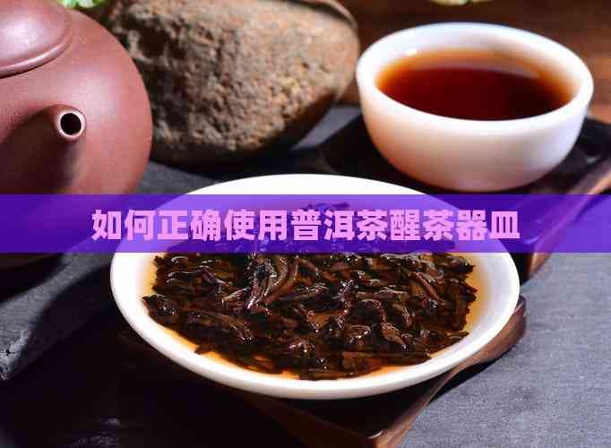 如何正确使用普洱茶醒茶器皿