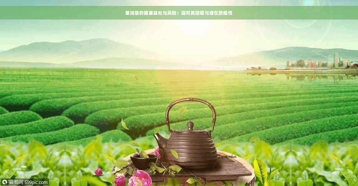 普洱茶的健康益处与风险：探究其防癌与潜在致癌性