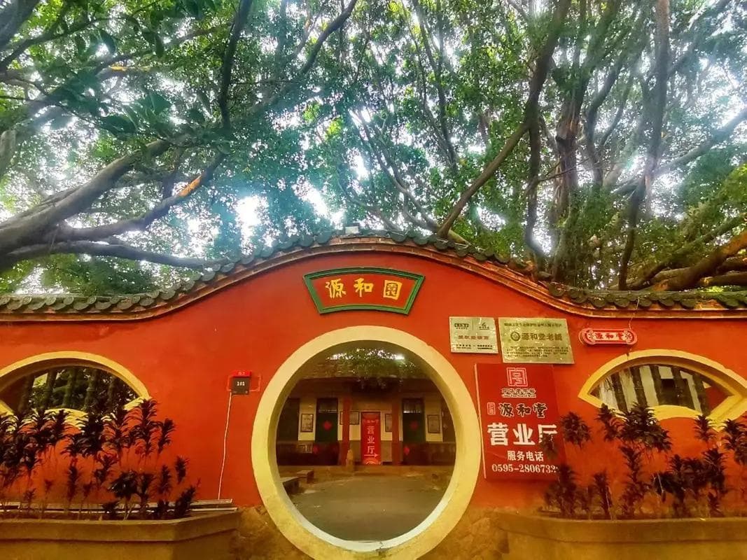 泉州老字号伴手礼特产合集