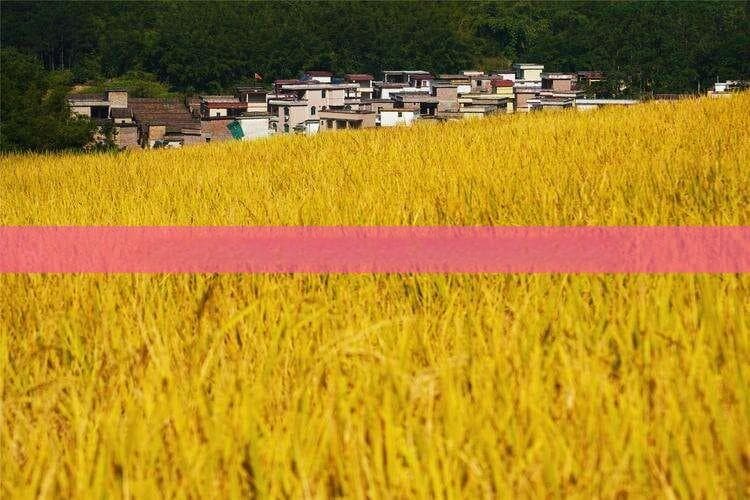 从哈尔滨到西双版纳旅游全攻略：路线、季节与必游景点推荐