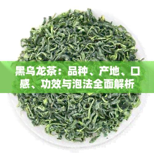 黑乌龙茶：品种、产地、口感、功效与泡法全面解析