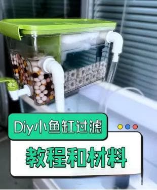 鱼缸水质混浊不用怕，生态过滤来帮忙