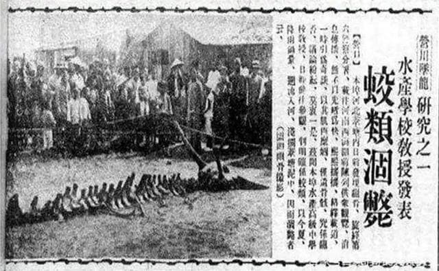 龙真实存在过吗，有没有物理和生物学的合理性解释？