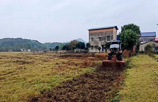 雨湖区鹤岭镇多措并举保护耕地 保障粮食安全生产