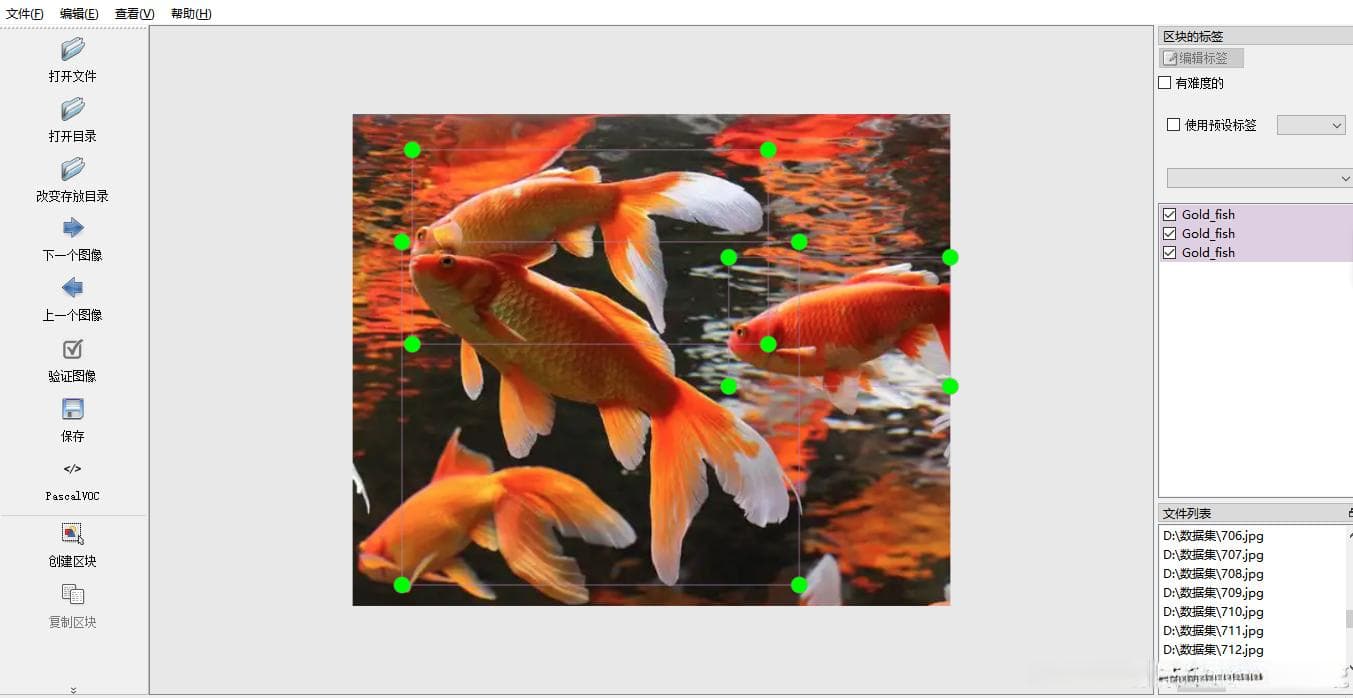 基于计算机视觉的海洋生物目标检测