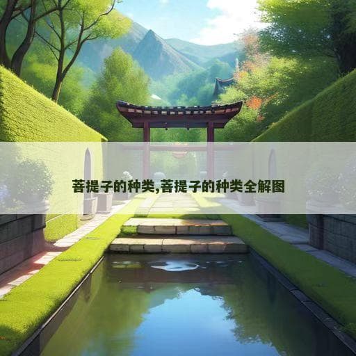 菩提子的种类全解图：从星月到金刚，解读佛教珍品的文化内涵