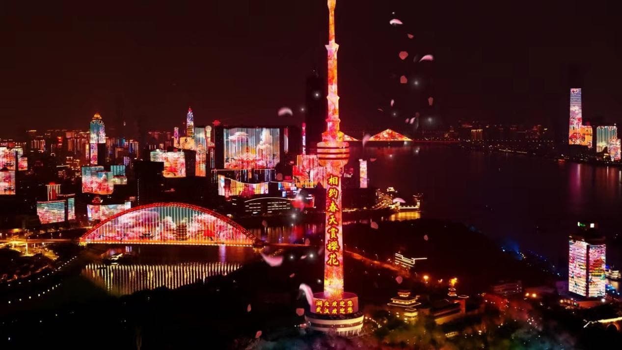 武汉樱花季上新！两江四岸还可以这样玩