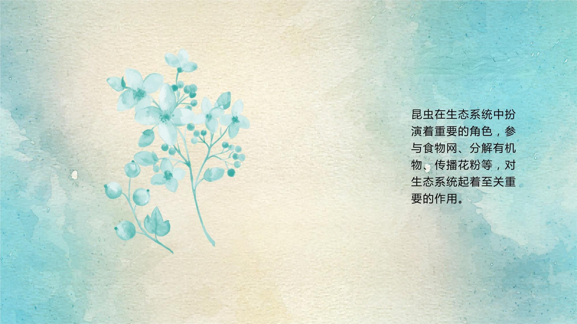 昆虫的生态角色与生态系统