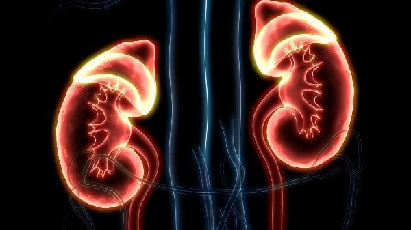 肾炎的诊断与治疗：从症状识别到科学管理