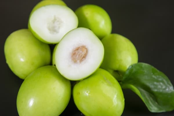 牛奶枣的功效与作用、禁忌和食用方法
