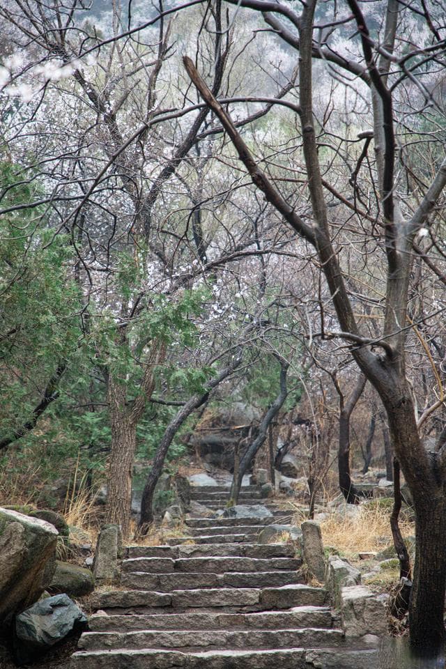 春日徒步指南：北京周边10条精选线路推荐