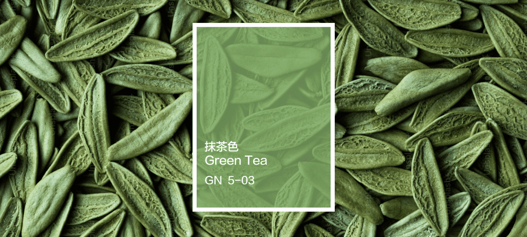遇见色彩 | 清新抹茶色，都市文艺范儿，投入酷暑中的一剂清凉