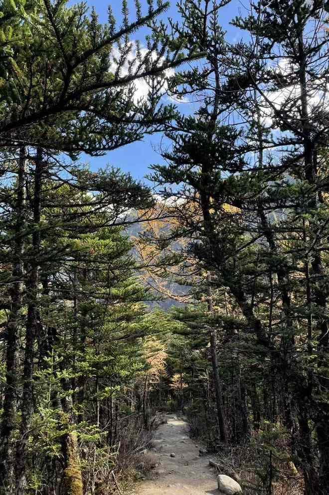 雨崩村旅游攻略，邂逅现实版的世外桃源