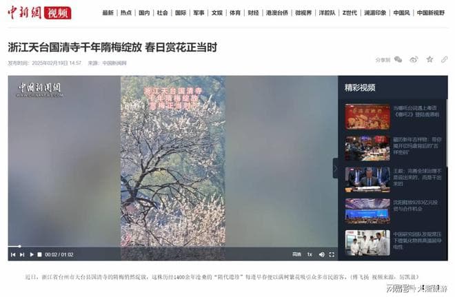 浙江天台山景区走红：千年隋梅与雪景引500万网友关注