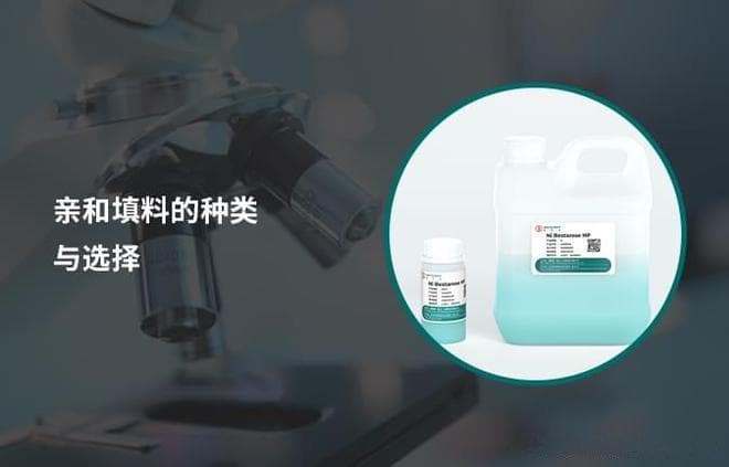 博格隆亲和层析填料选择的关键因素与策略