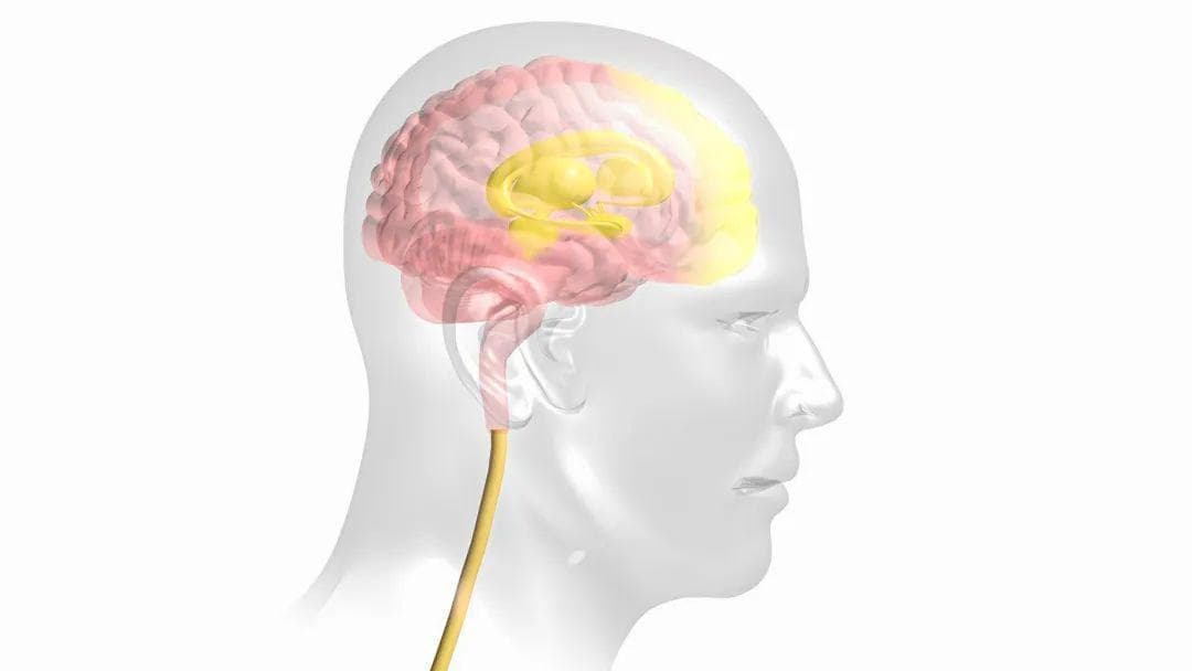 一天不打麻将就心慌？快来自测一下成瘾程度，该收手时要收手