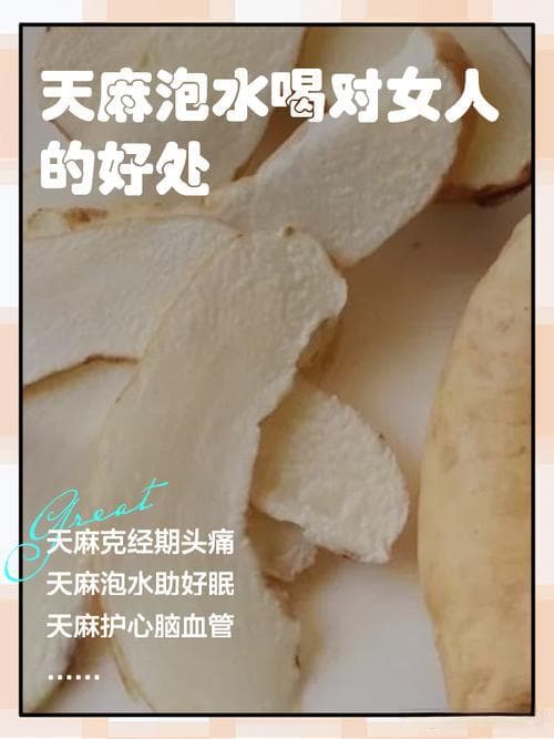 天麻泡水真的安全吗？使用前必知的注意事项