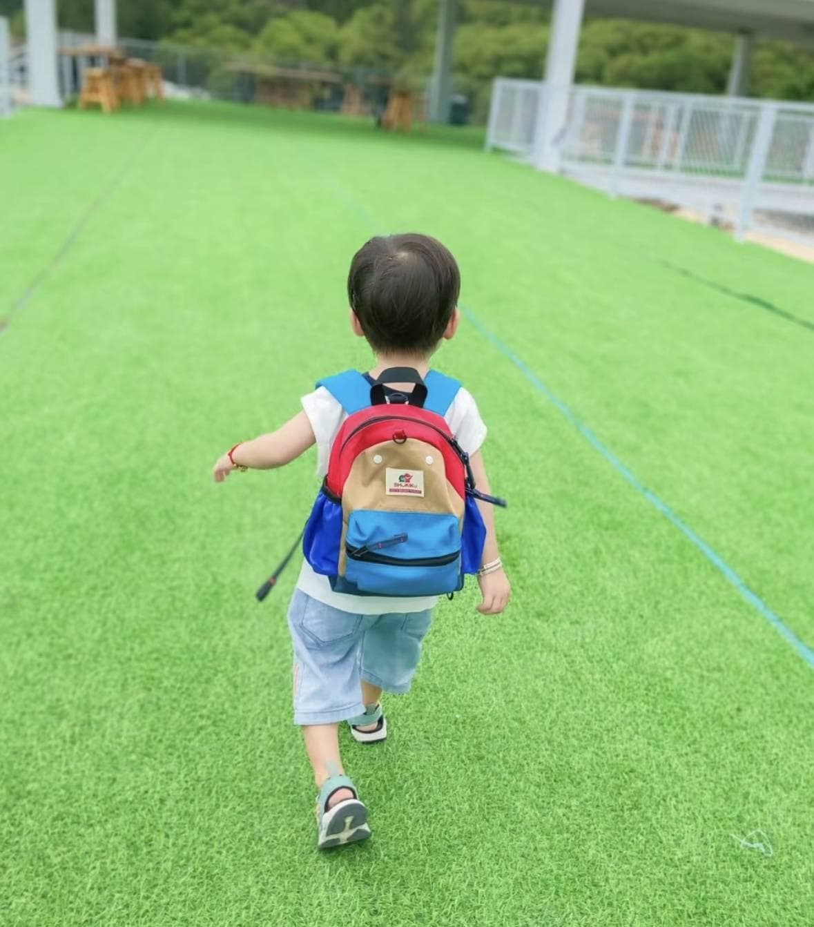 孩子的幼儿园“小叛逆”：背后的秘密与引导之道