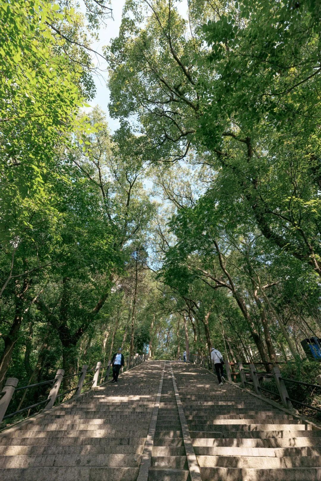 上海佘山，之前还是太低估你了