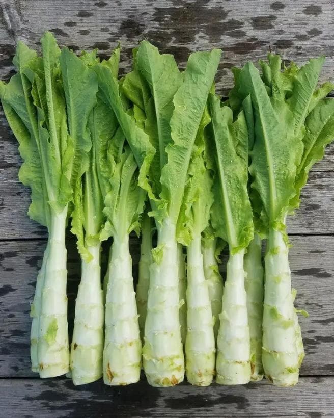 被你扔掉的这个菜叶，竟然是天然护心“良药”