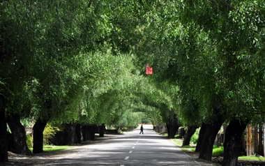 2024年大暑节气：时间、习俗与养生全攻略