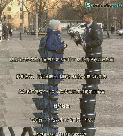 为什么不能杀自己的狗？（探讨人与狗之间的情感纽带和道德责任）