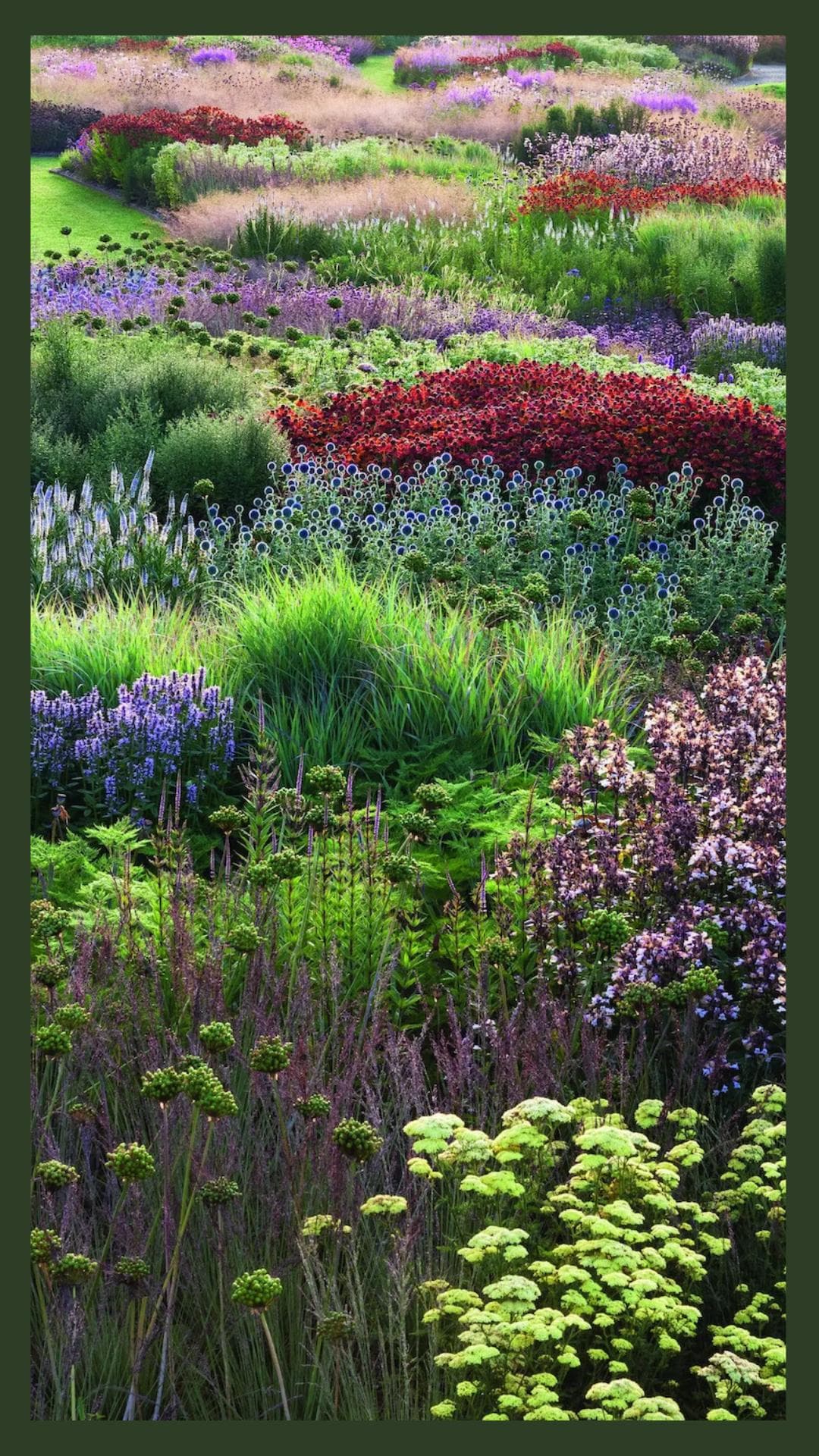 Piet Oudolf | 自然主义景观大师的艺术花园