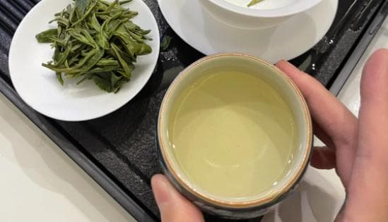 新手怎么选茶？六大口粮茶选购推荐！