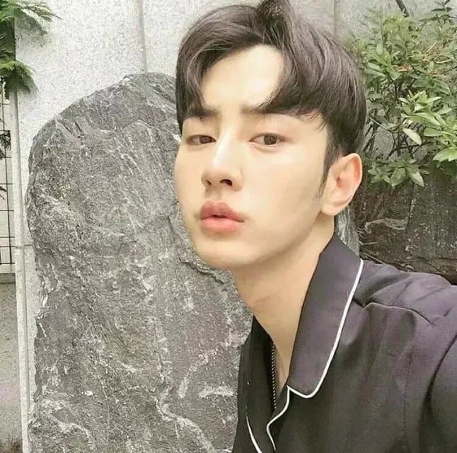 什么东西可以代替剃须泡
