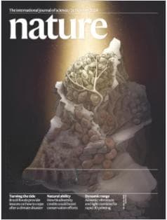 Nature | 深入剖析IgE介导的FcεRI激活：过敏反应背后的分子机制