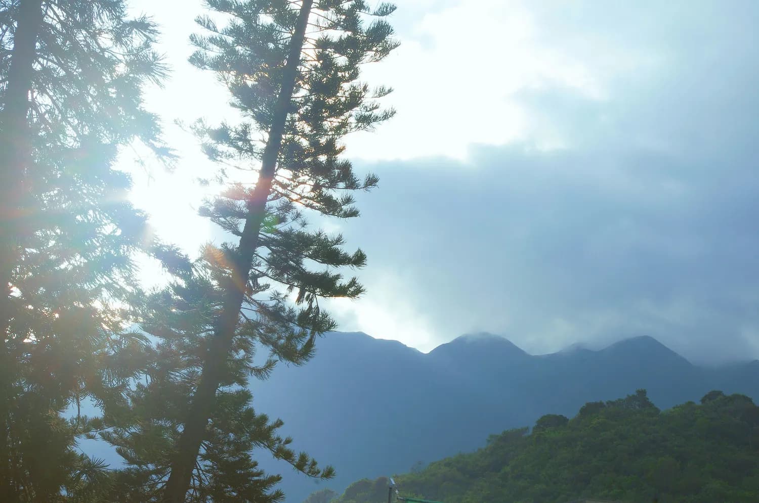 大觉山：抚州最美自然景观打卡地