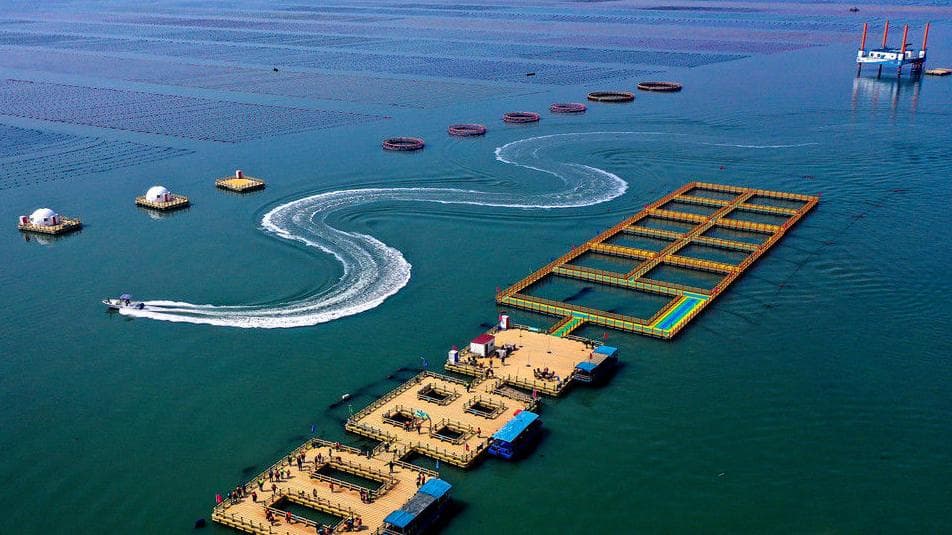 深挖海洋经济潜力