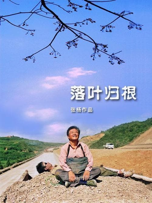 落叶归根：一个成语背后的文化密码