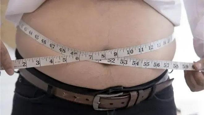 “腰围里的秘密”：为什么肚子上的脂肪比你想的更危险？