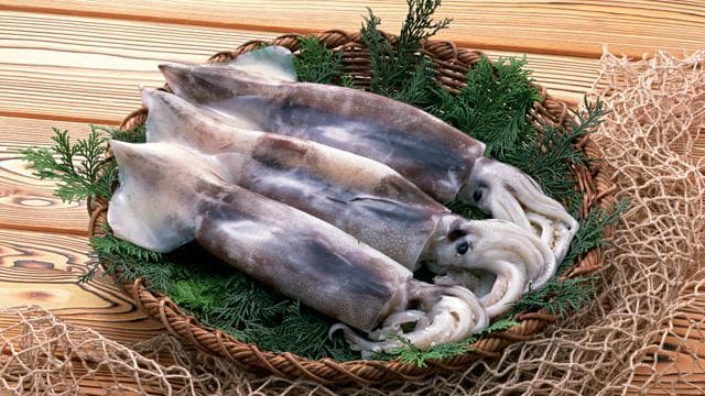 鱿鱼加工下脚料及其利用现状
