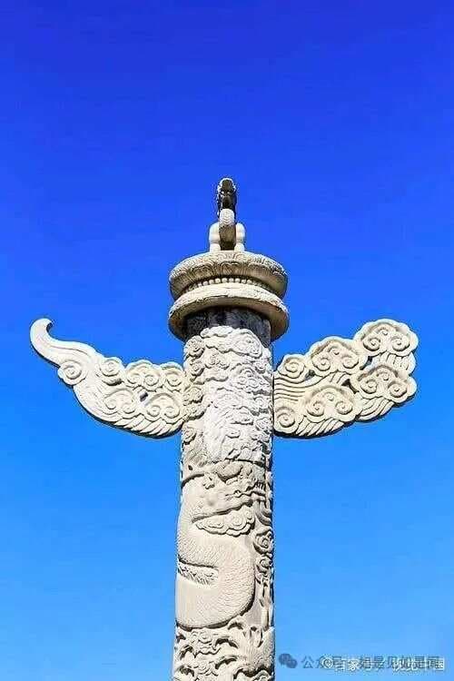 “华”字的来历：从自然之美到文化象征