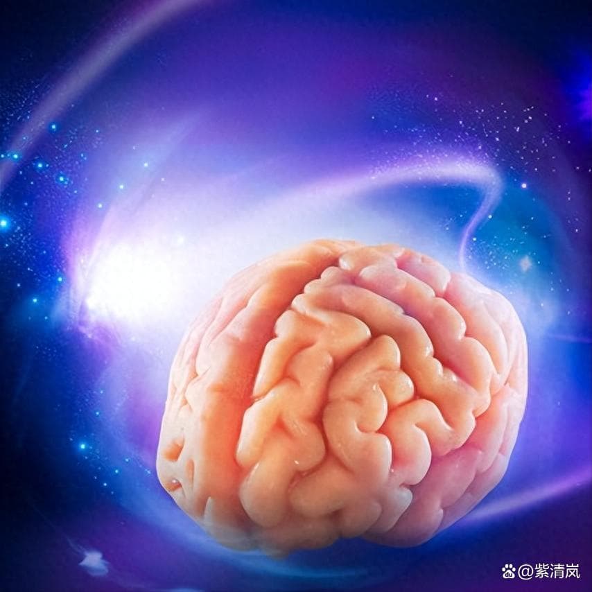 思考快与慢：大脑中的两套系统如何影响我们的决策
