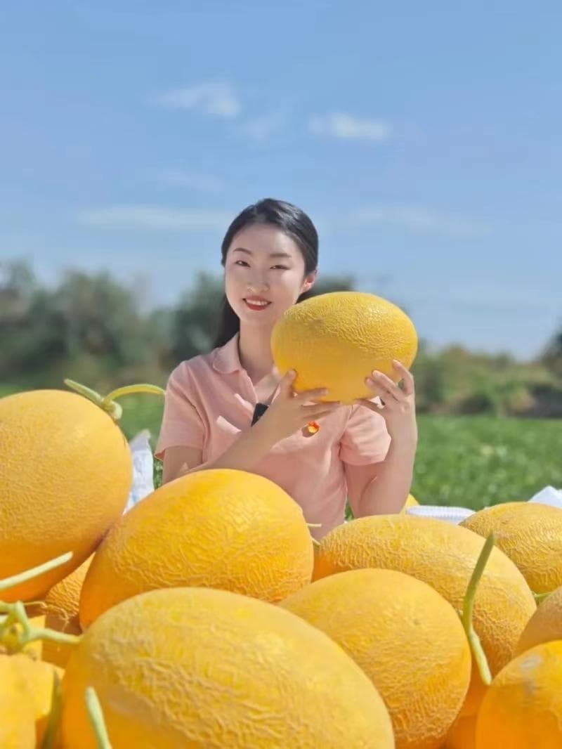 哈轩：哈密瓜九问
