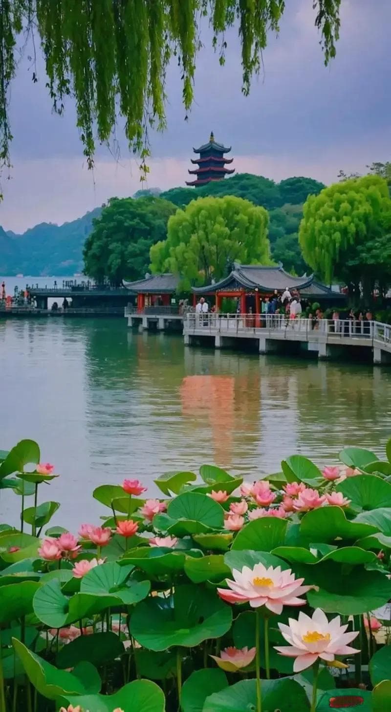加强提高个人的安全意识