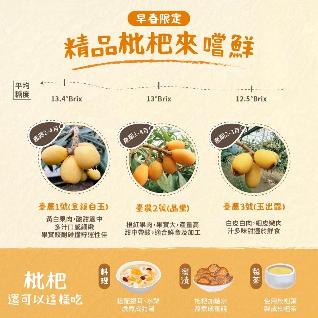 這樣吃止咳助降血糖！枇杷護肺、護眼、降血脂、護肝又抗癌 枇杷葉更好用別丟
