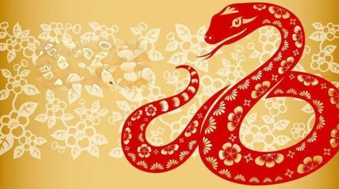 春节相关英语词汇大汇总！春节习俗、春节特色美食中英文对照！